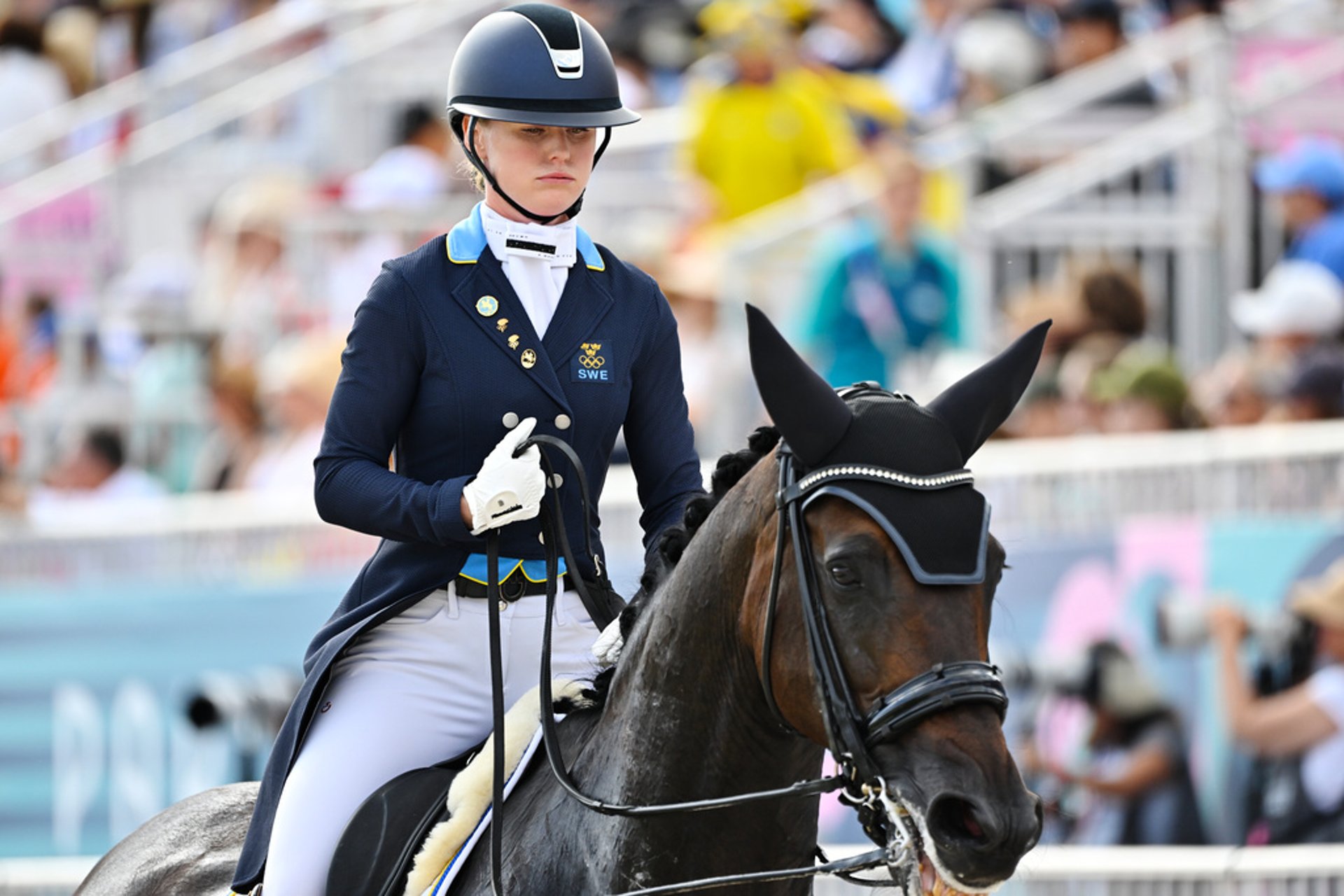 The Mistake in the Dressage Final: "A Damn Mess"