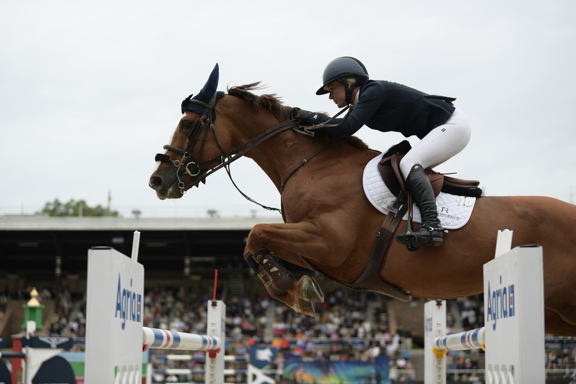 Stockholm misses out on major equestrian event