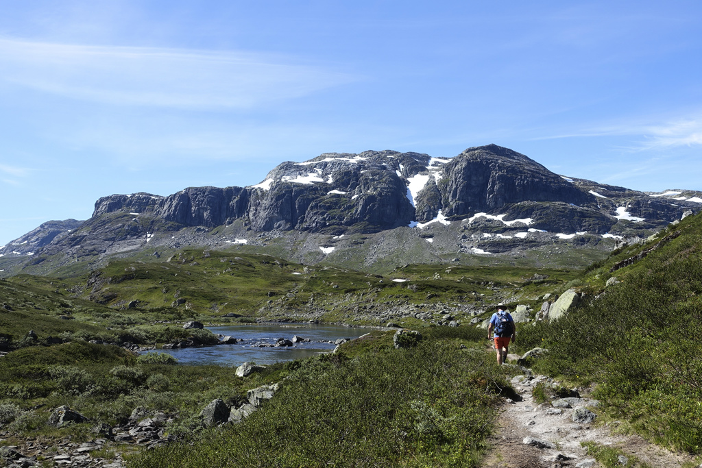 Swedes fell ill after eating poisonous mushrooms on the mountain