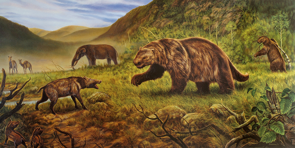 After 200 Years of Controversy: How Humans Wiped Out the Giant Animals