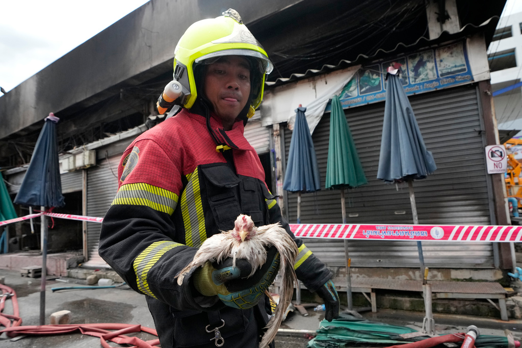 Hundreds of animals burned to death at famous market