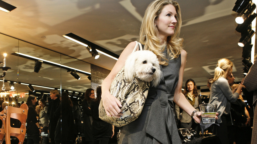 Fashion House Launches Designer Perfume for Dogs