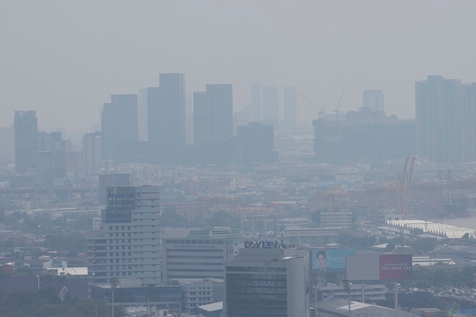 Free Collective Transportation in Smog-Hit Bangkok