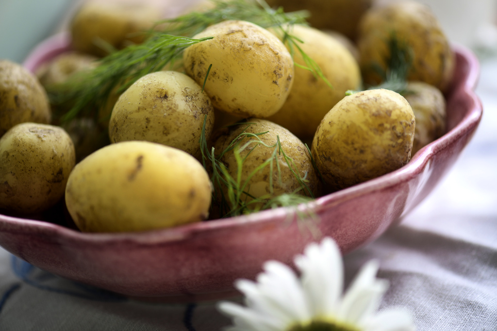 Potato Growers: Risk of Empty Shelves Ahead of Midsummer