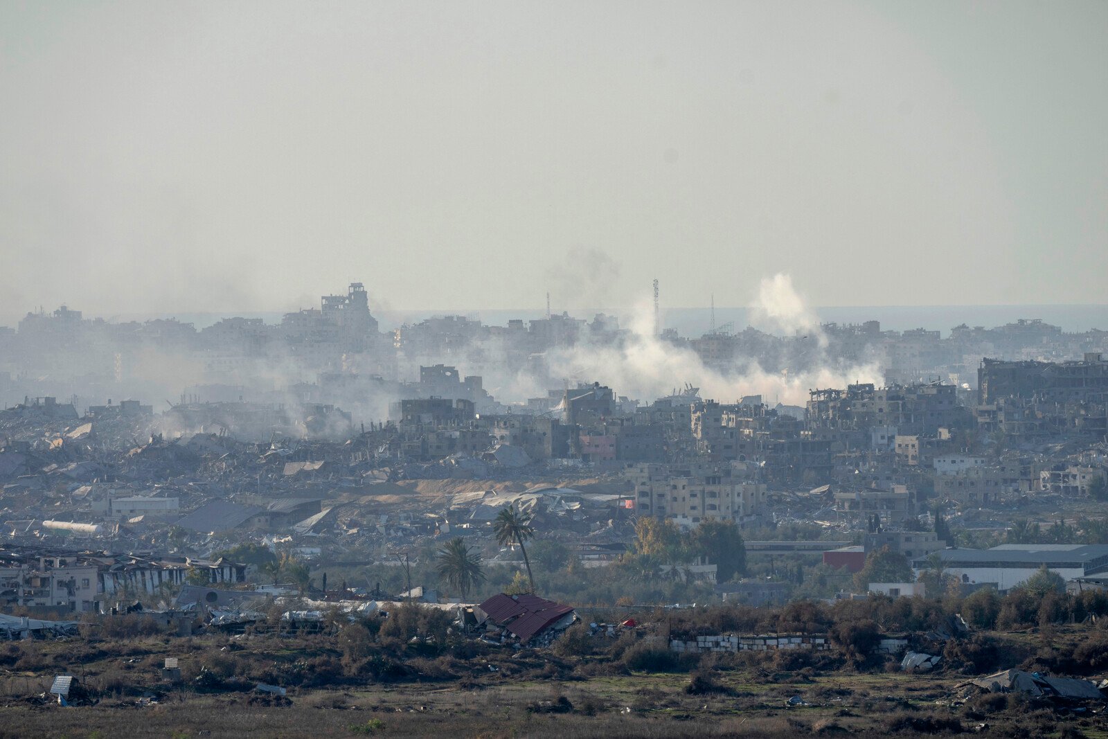 Civil Defense: Seven Children Killed in Gaza