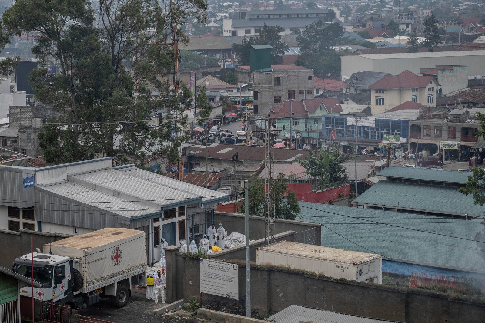 Rebels in Congo declare ceasefire