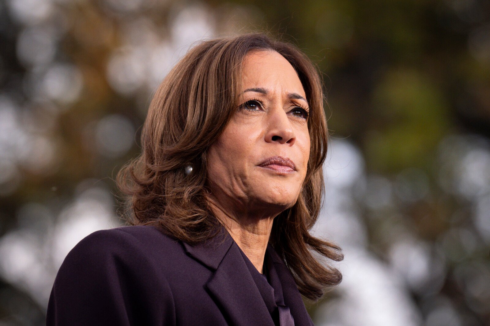 These are the voter groups that rejected Harris