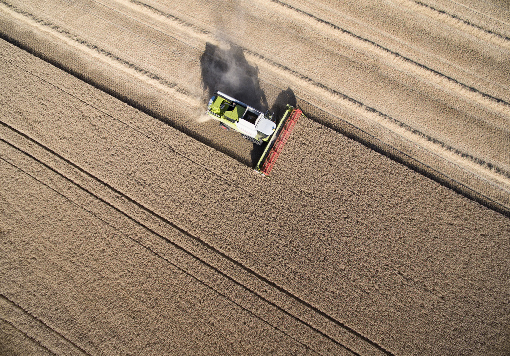 After the Nightmare Summer - New Hope for Farmers