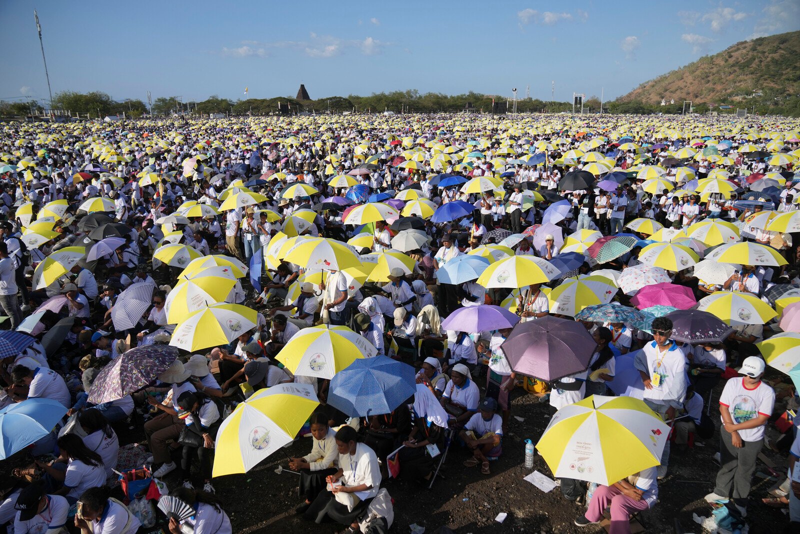 Record number met the Pope