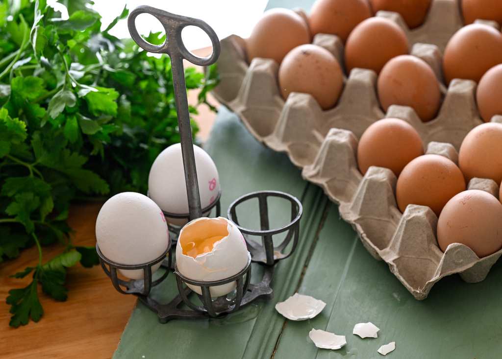 Food Giants Recall Eggs – Salmonella Alert