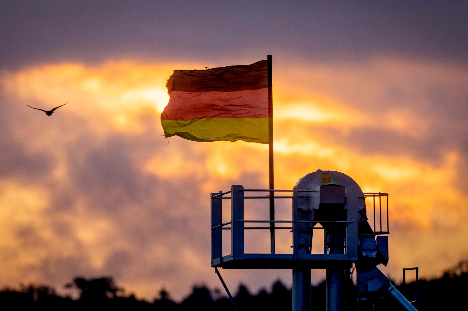 Highest confidence in German economy since June