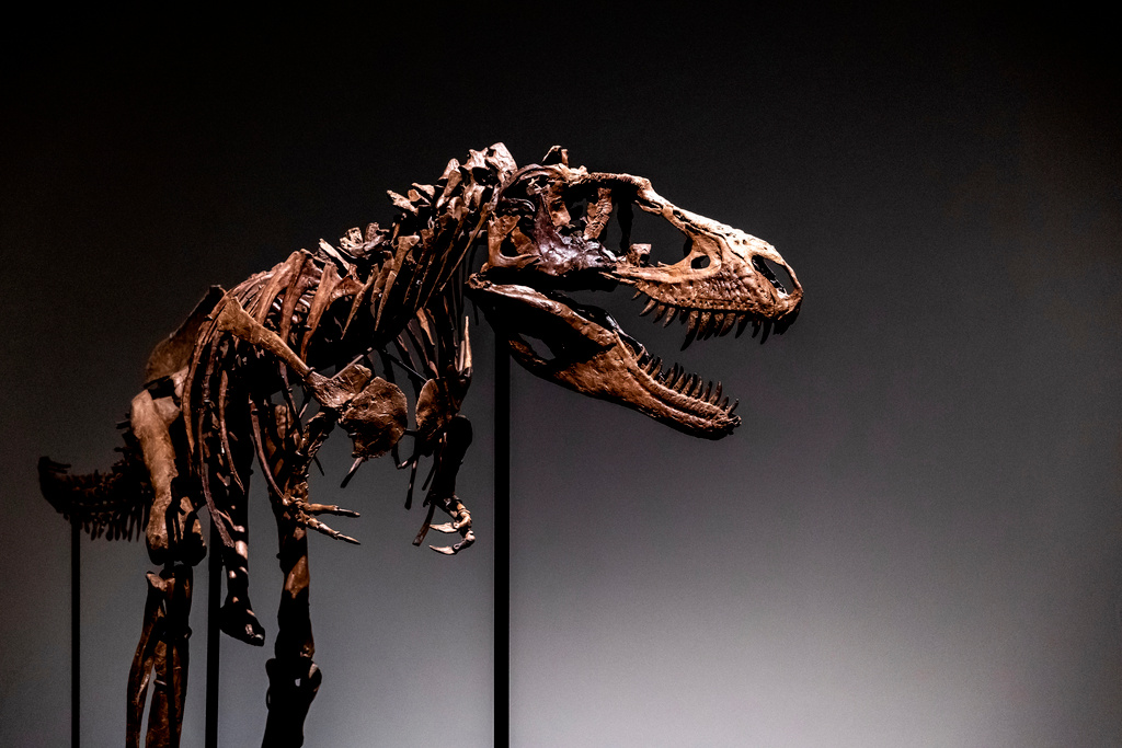 Dinosaur skeleton goes missing in the post