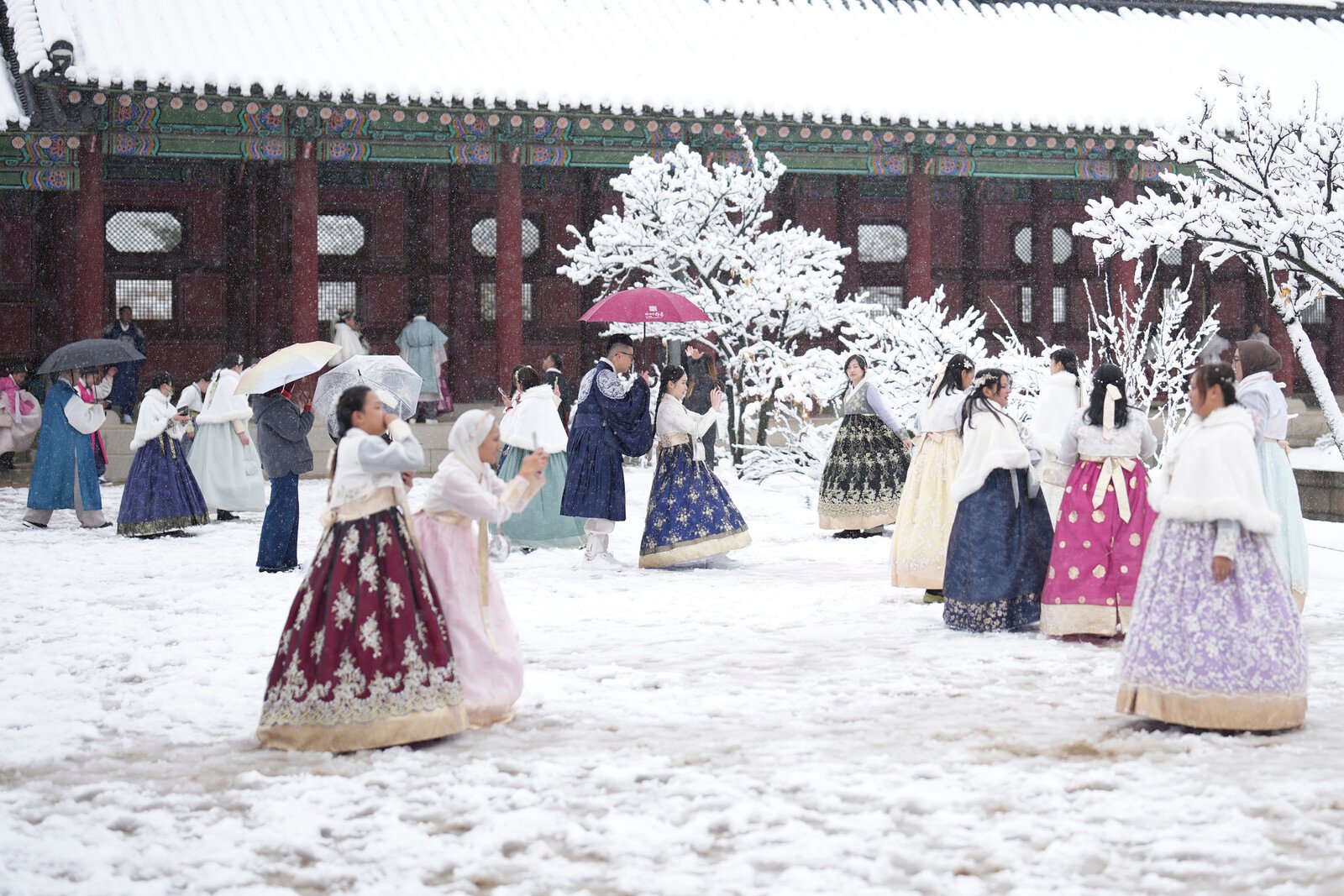 Snowstorm in South Korea –