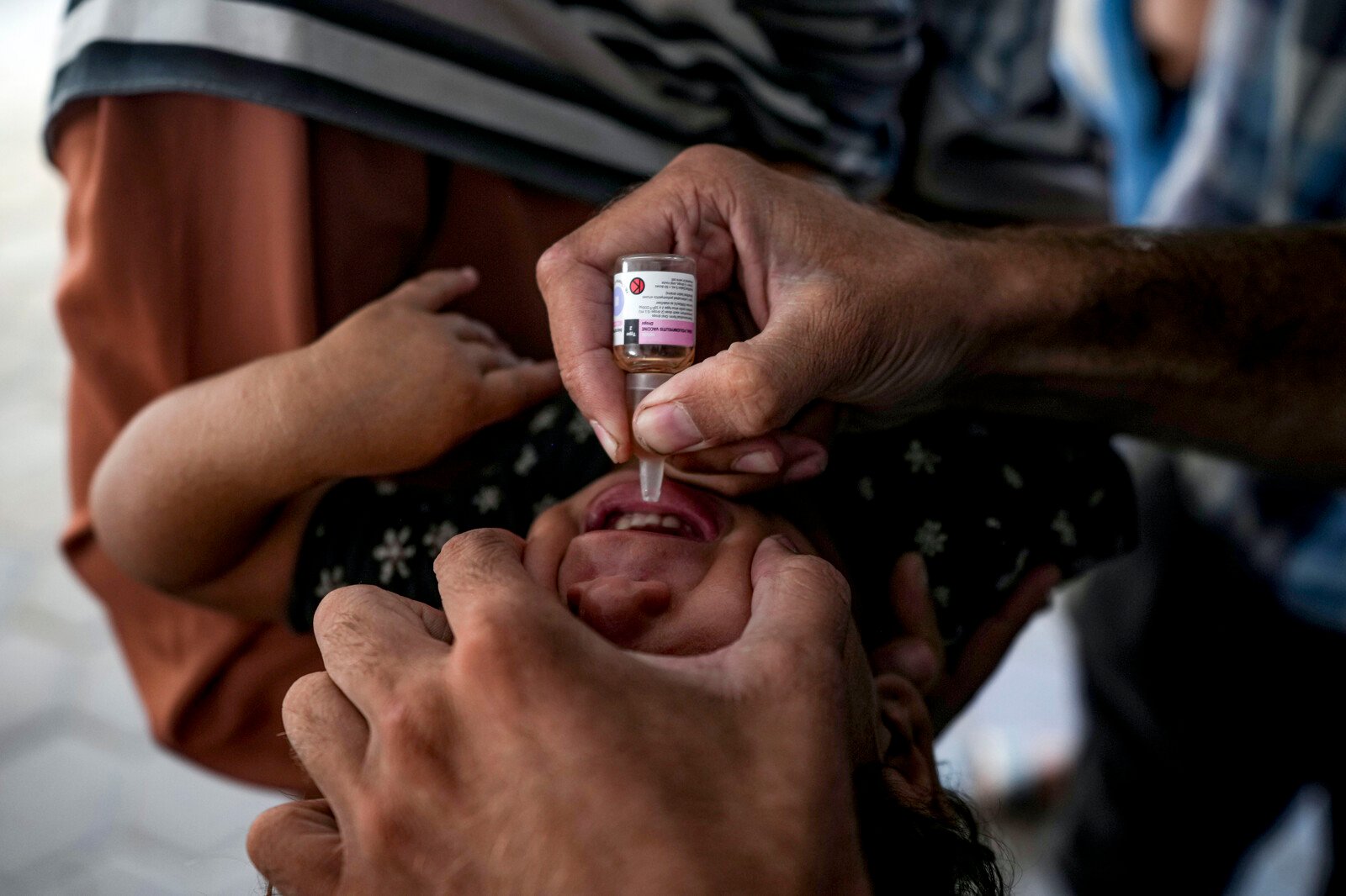 Vaccine effort in Gaza successful