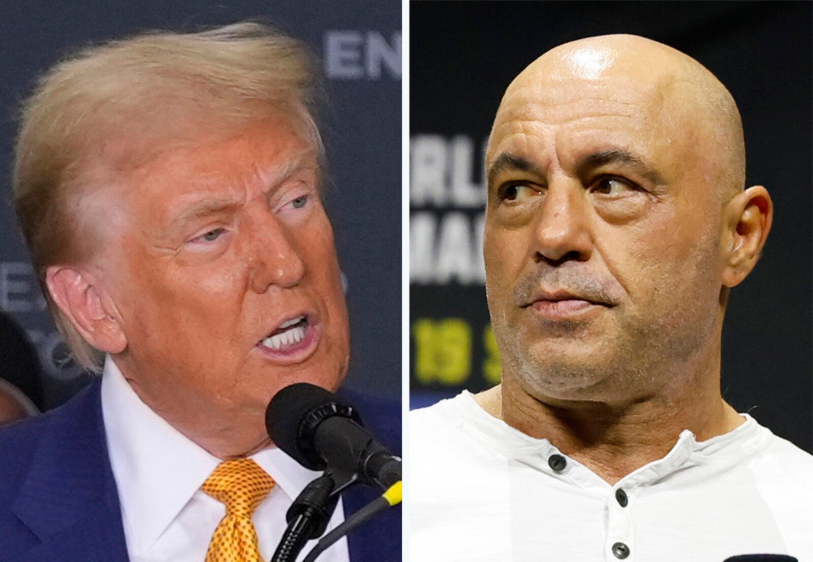 Controversial Joe Rogan Supports Donald Trump