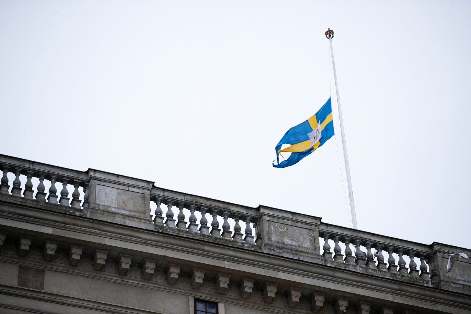 The Government and the Palaces are Flying the Flag at Half-Mast