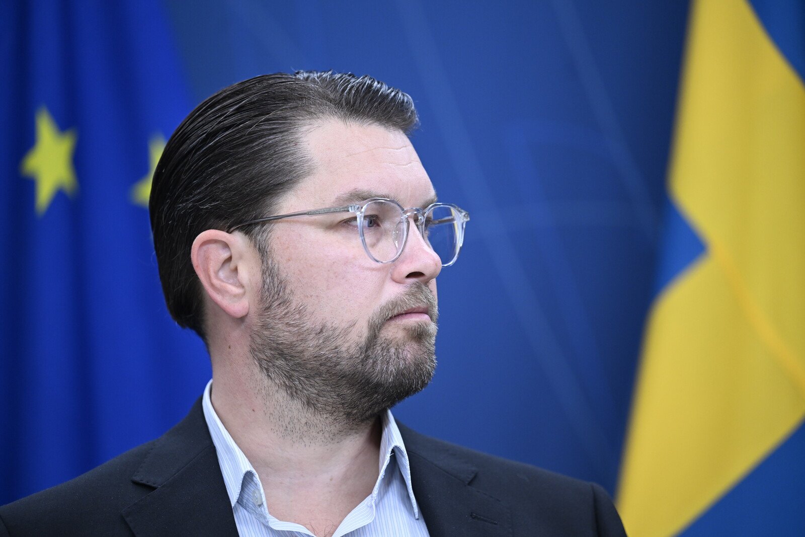 The Sweden Democrats open up to expel members