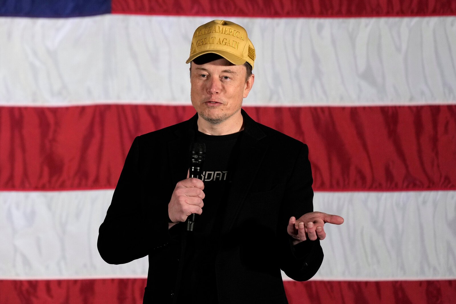 Musk promises a million dollars a day to voters