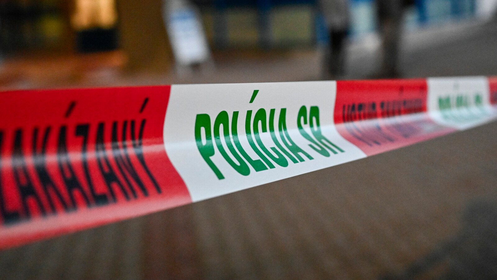 Two killed in stabbing at school in Slovakia