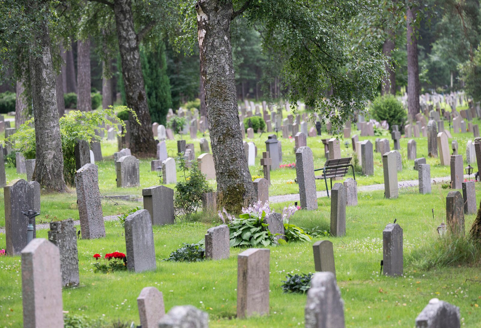 Thousands of Graves Threatened as Climate Changes