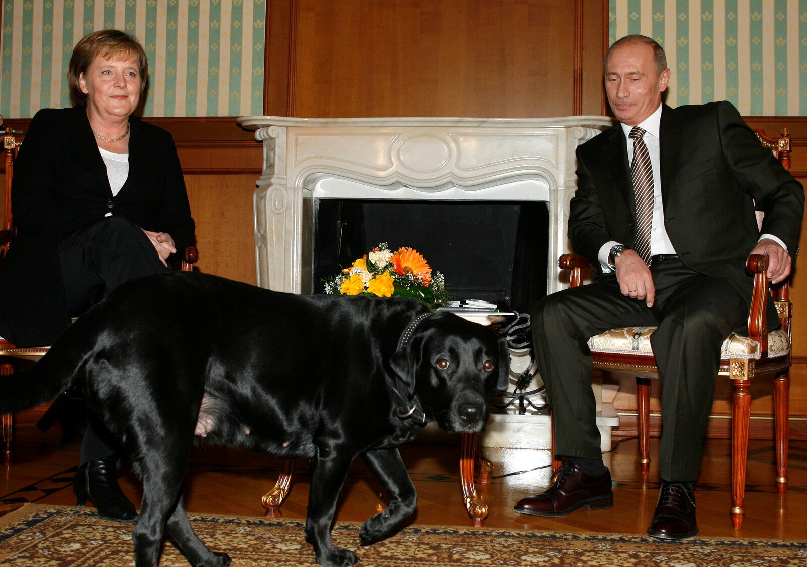 Putin: Angela, forgive me for the dog