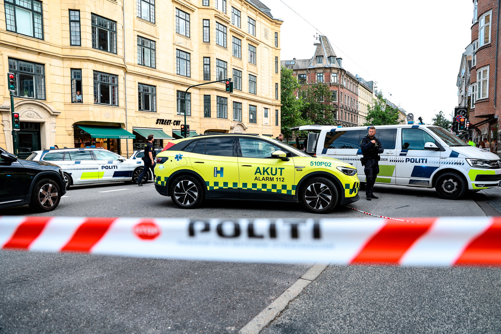 New efforts against Swedish crime wave in Denmark