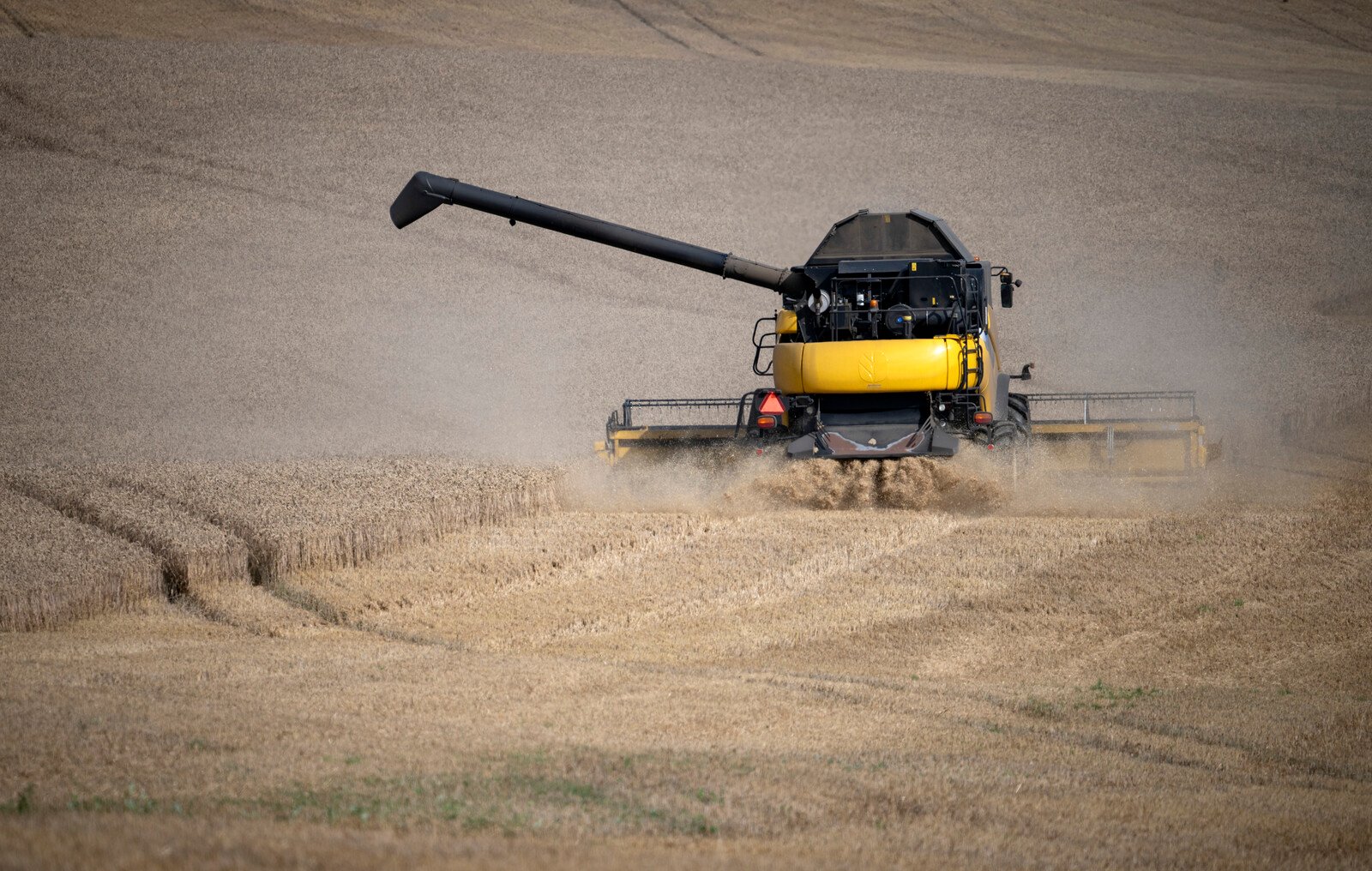 Grain Harvest Increases – But