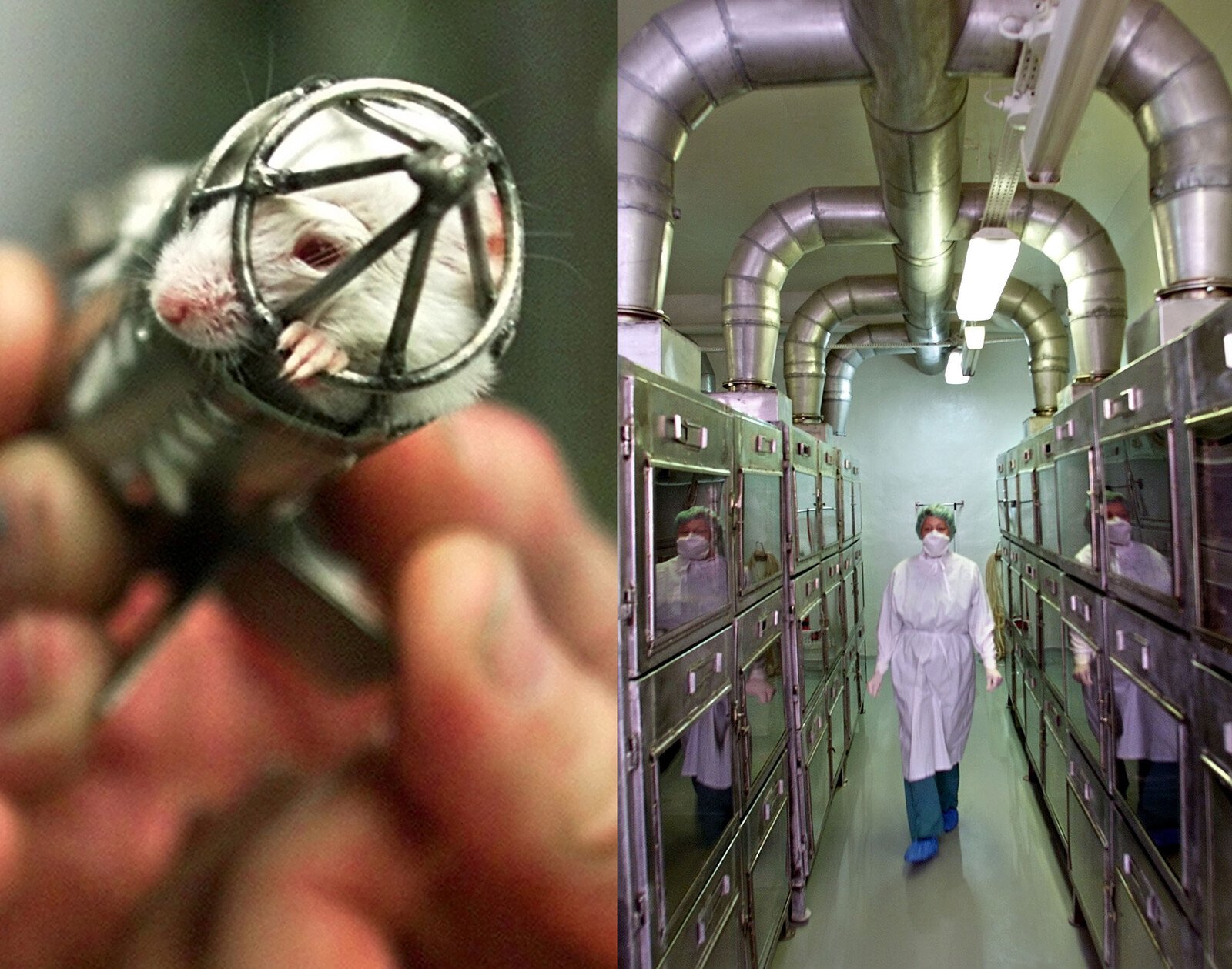 Mission: Here grows Putin's top-secret bioweapon lab