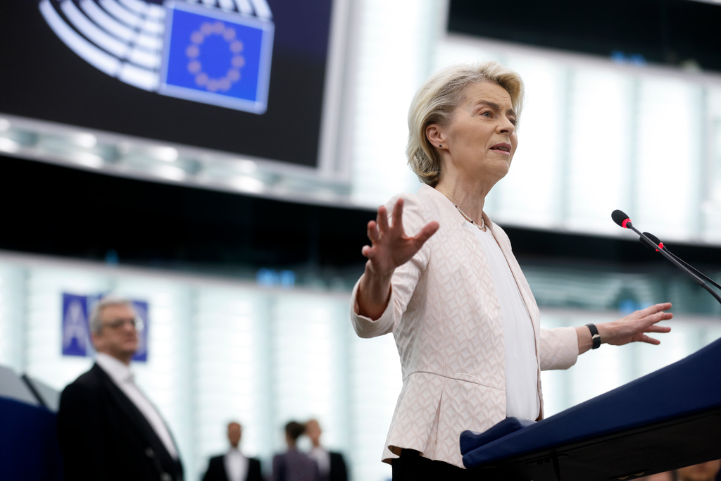 Who does what? The next challenge for the EU Commission