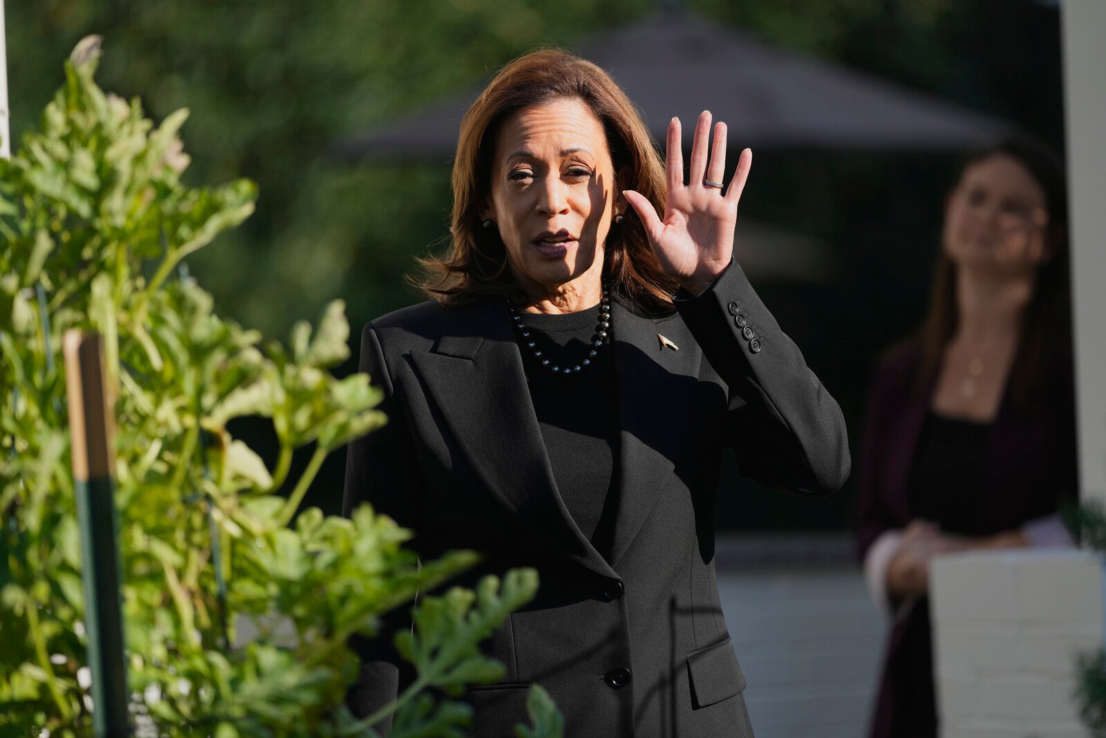 Harris avoids question about alliance with Netanyahu