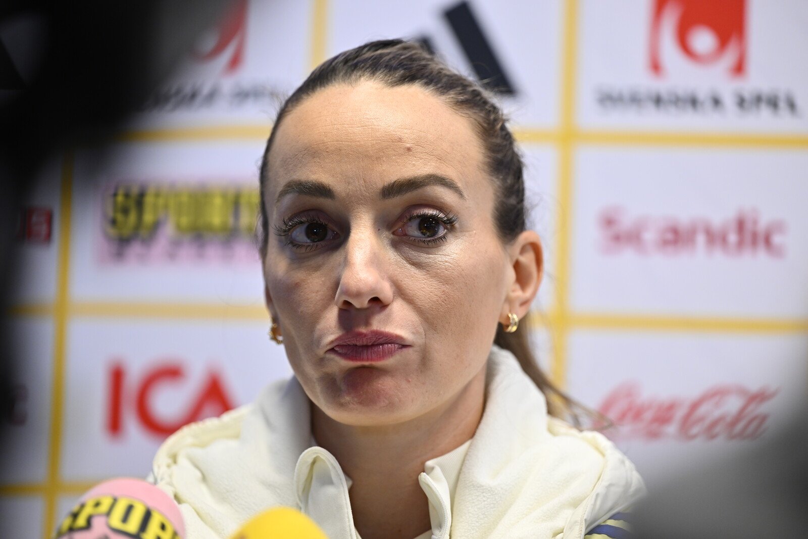 Asllani's criticism of Reinfeldt: "Different opinions"