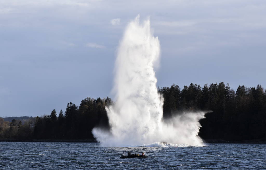 Sweden wants to buy sea mines