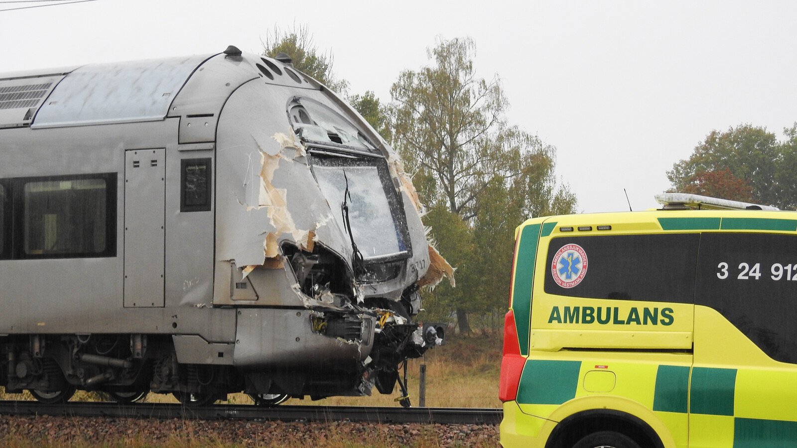 Twenty to Hospital after Train