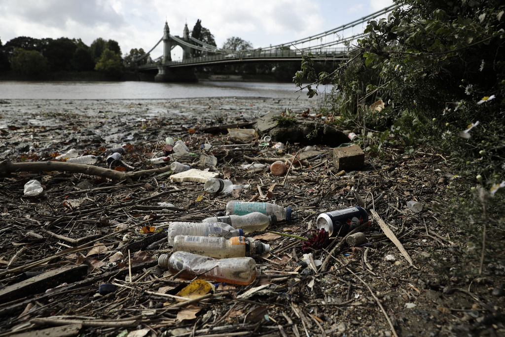 Plastic on beaches down 80 percent after charge