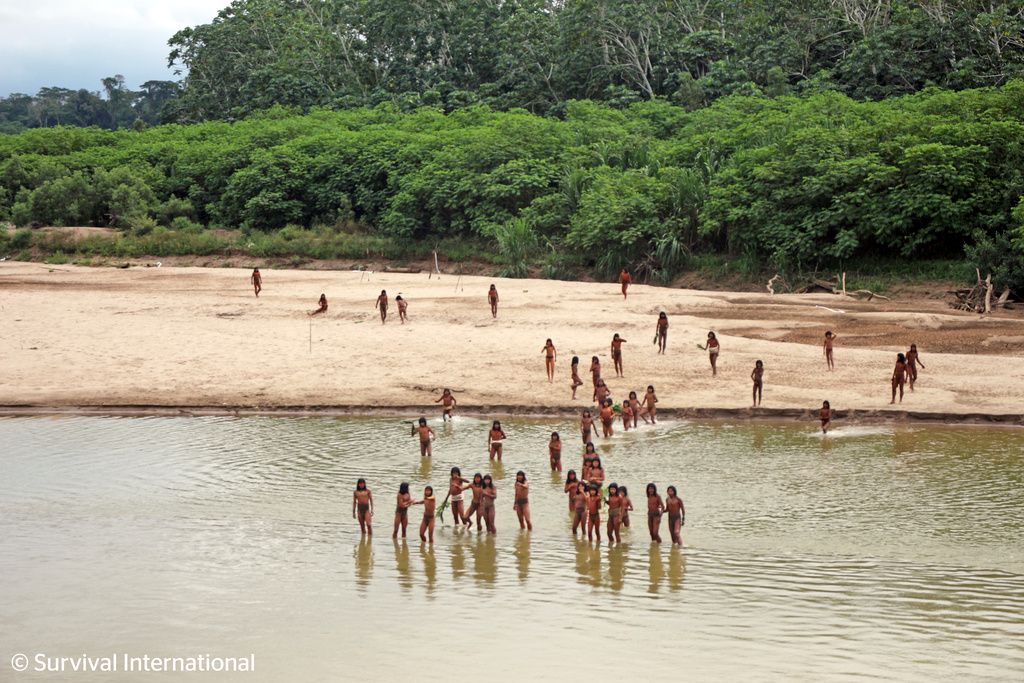 Indigenous group in Peru pressured by deforestation