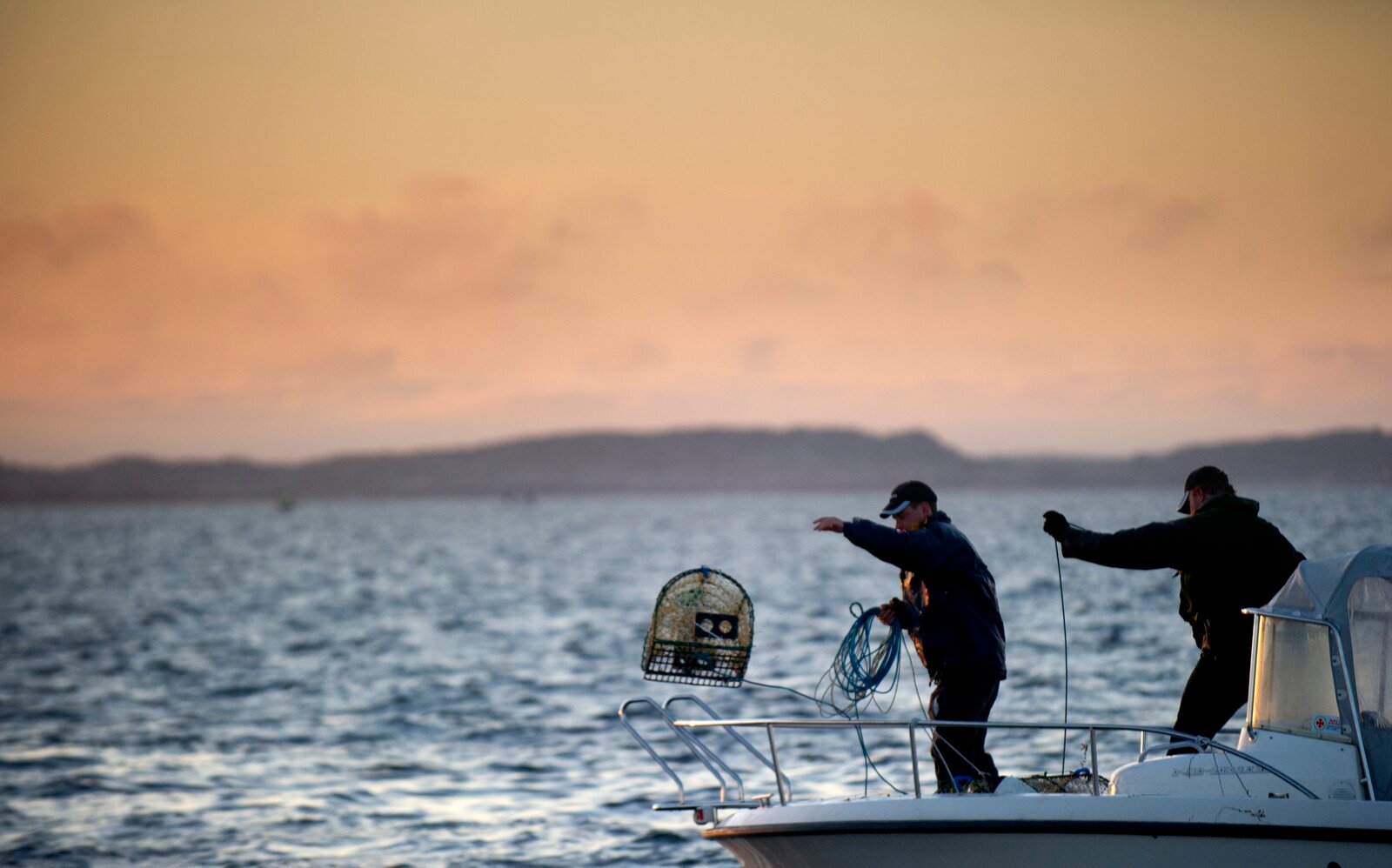 Thousands of Lobster Pots Are Lost Every Year