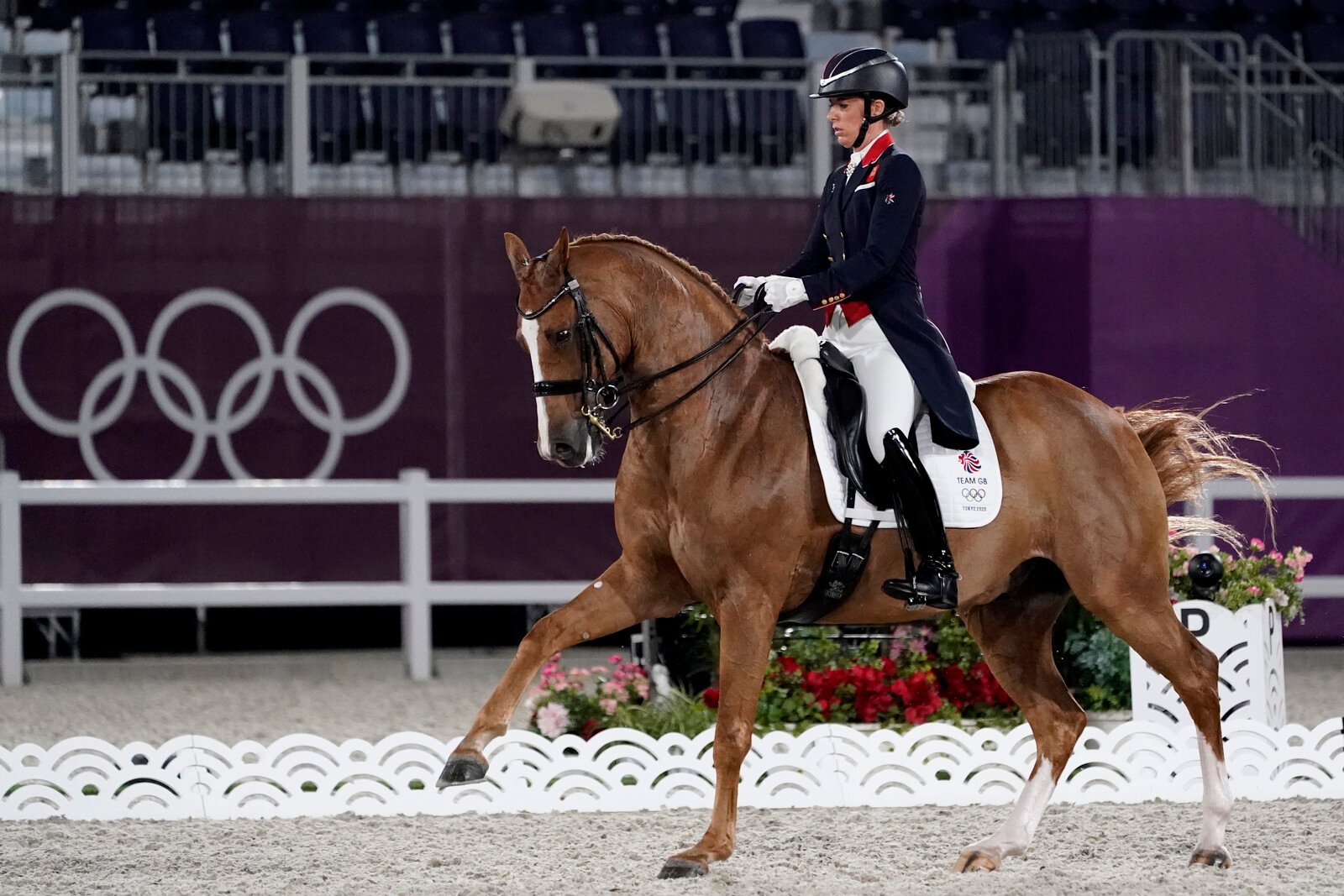 Olympic Champion Whipped Horse – Banned for a Year