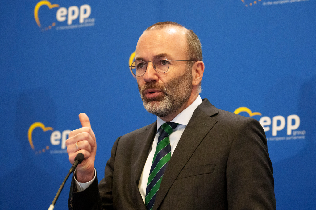 Weber re-elected - ECR group grows