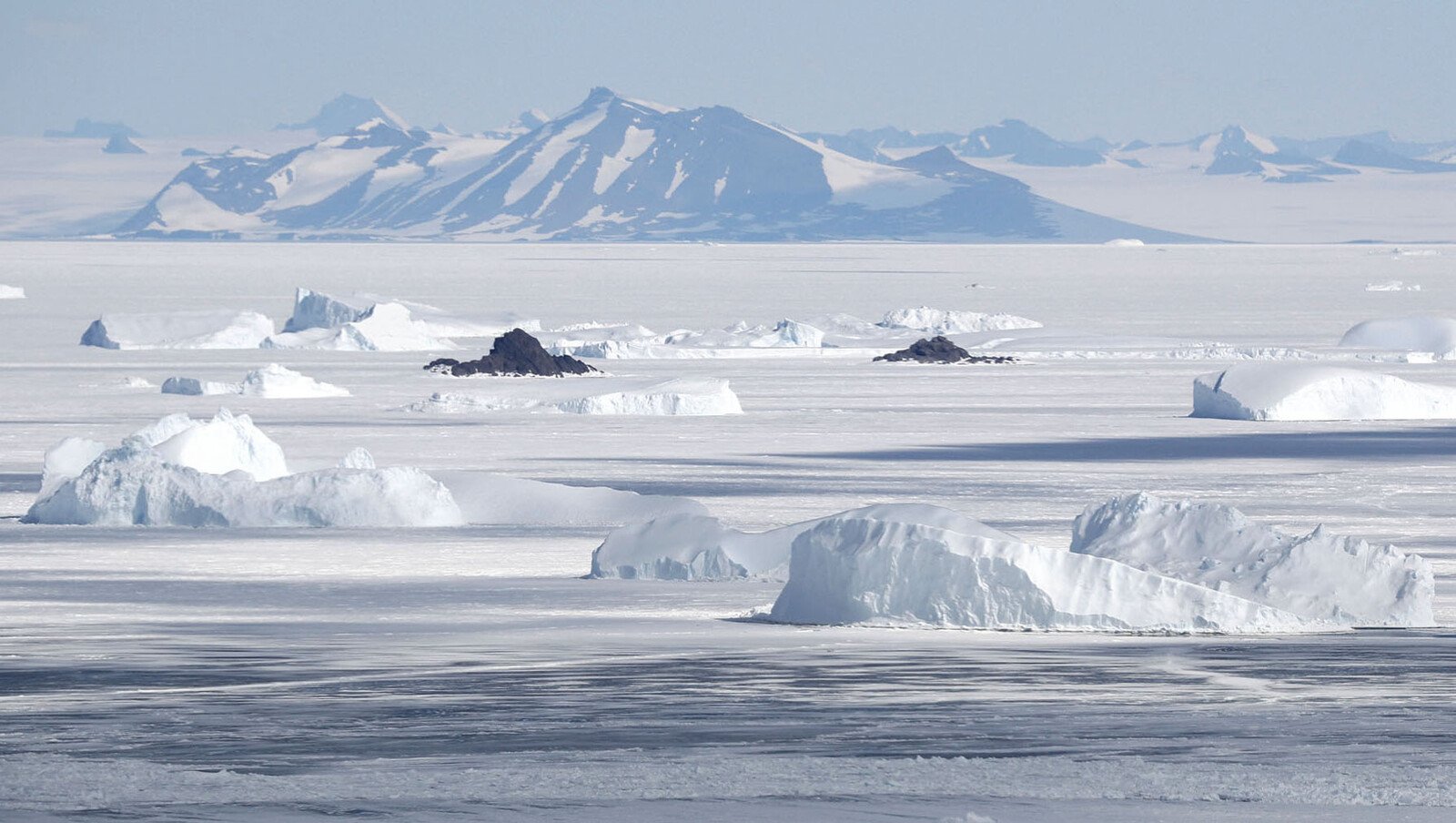 Defied the cold on Antarctica