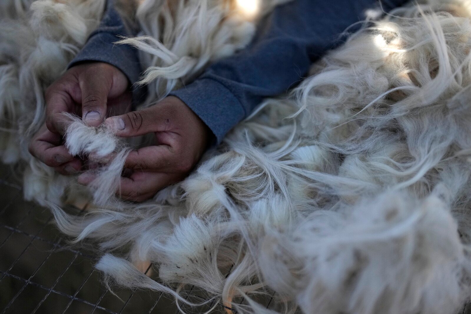 The criticism: Certified wool is a scam