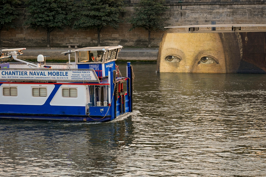 Green light to swim in the Seine during the Olympic Games