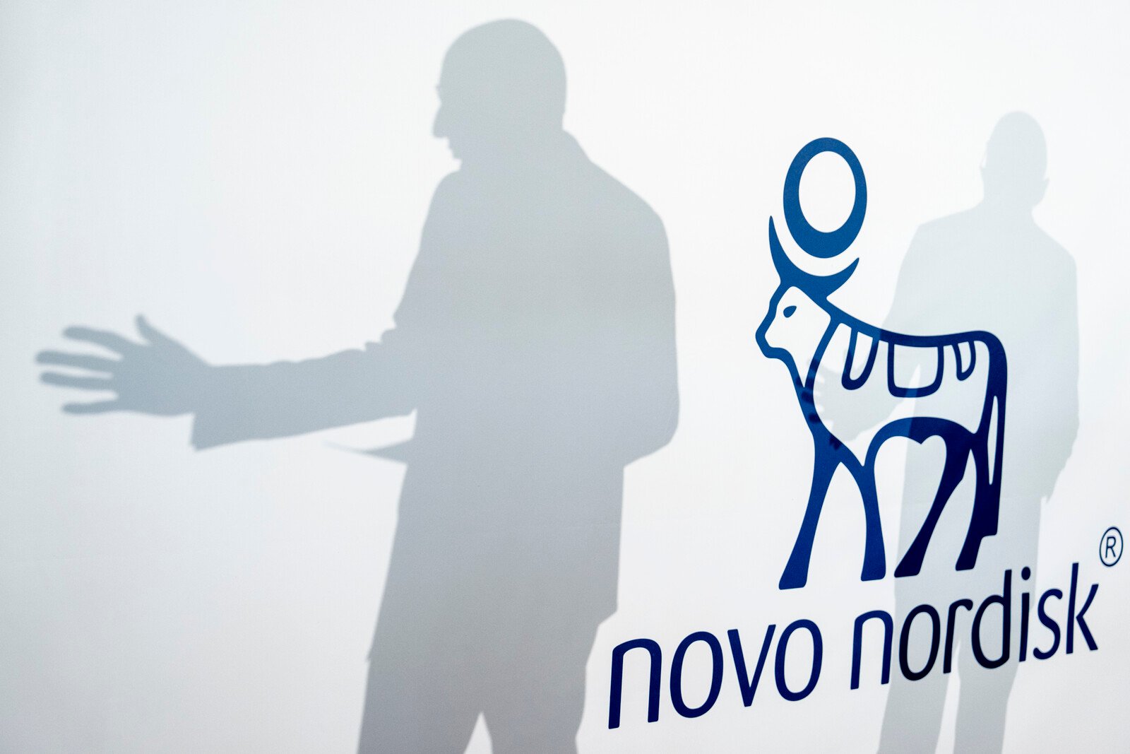 Novo Nordisk up nearly 6 percent after price slump