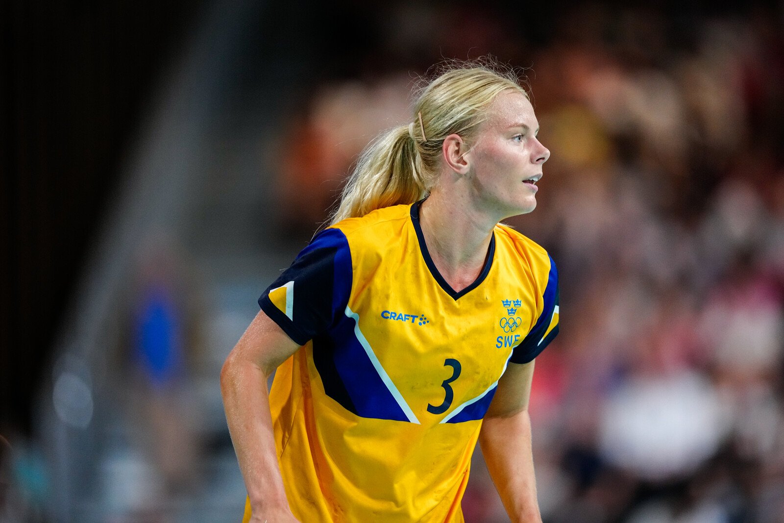 The Swedish star confirms: misses European Championship