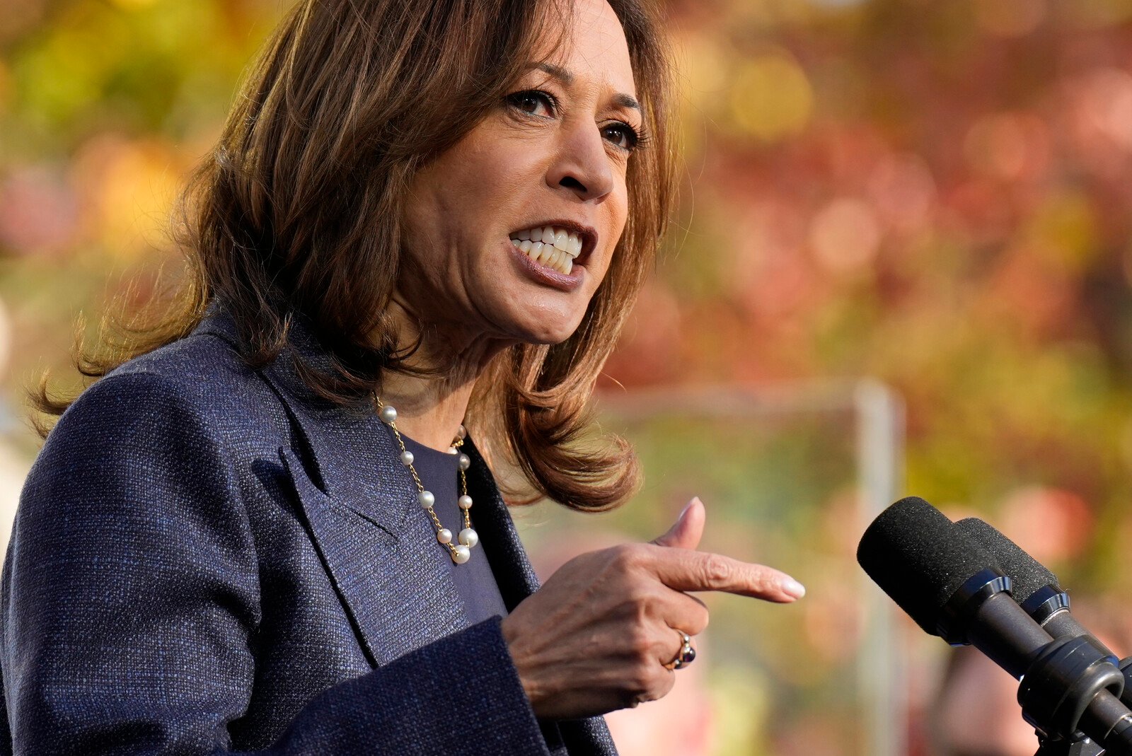 Harris was pressed on immigration