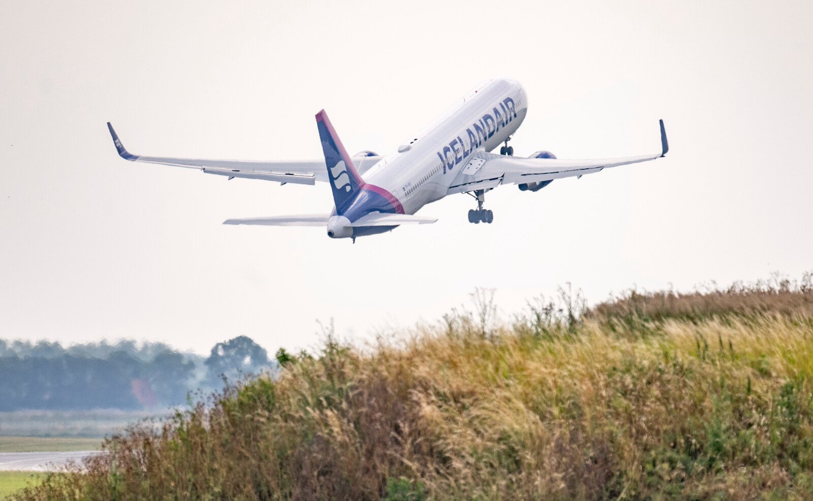 Five billion passengers take the plane