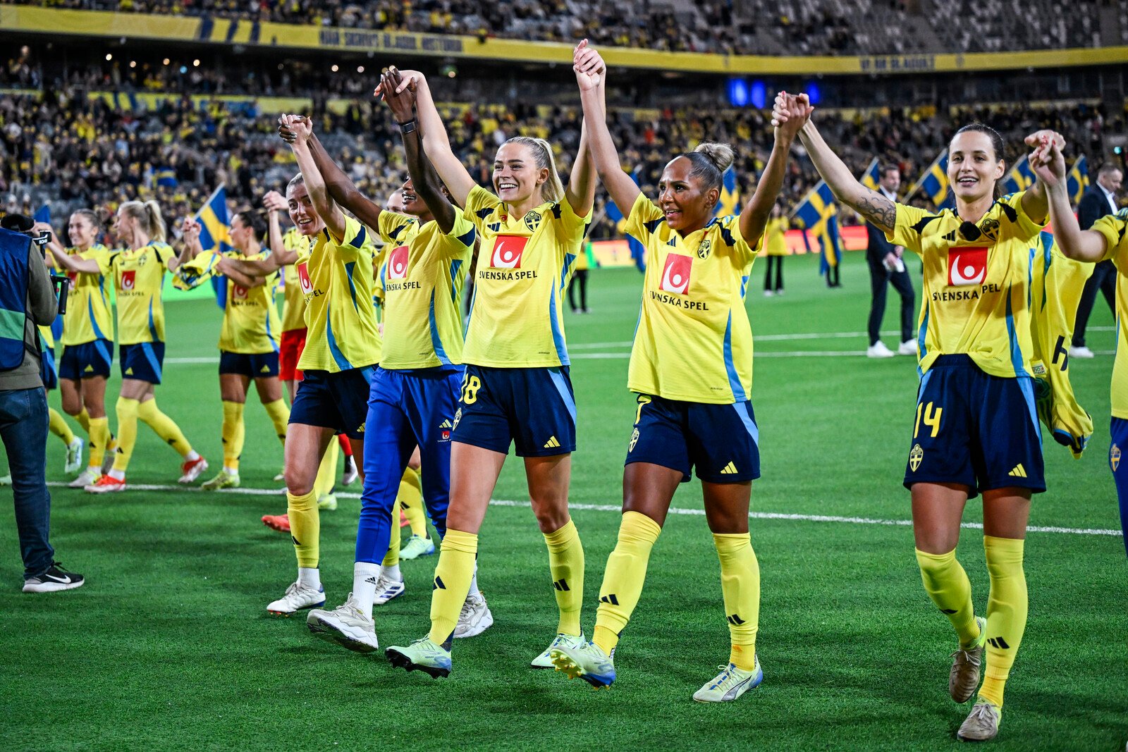 Sweden avoided the "death group" in the European Championship