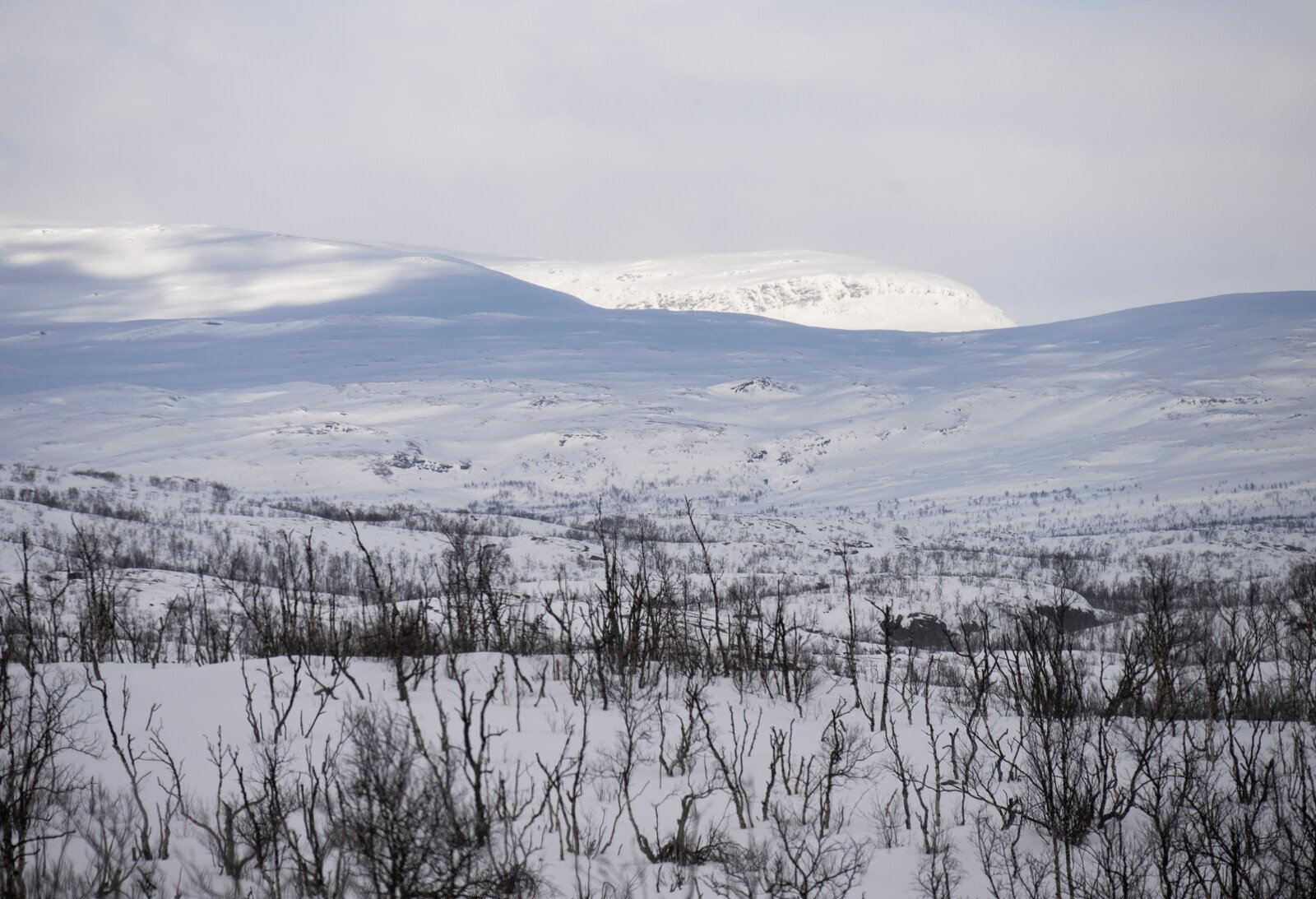 Wind and Ice in the North – the Cold is Coming Next Week