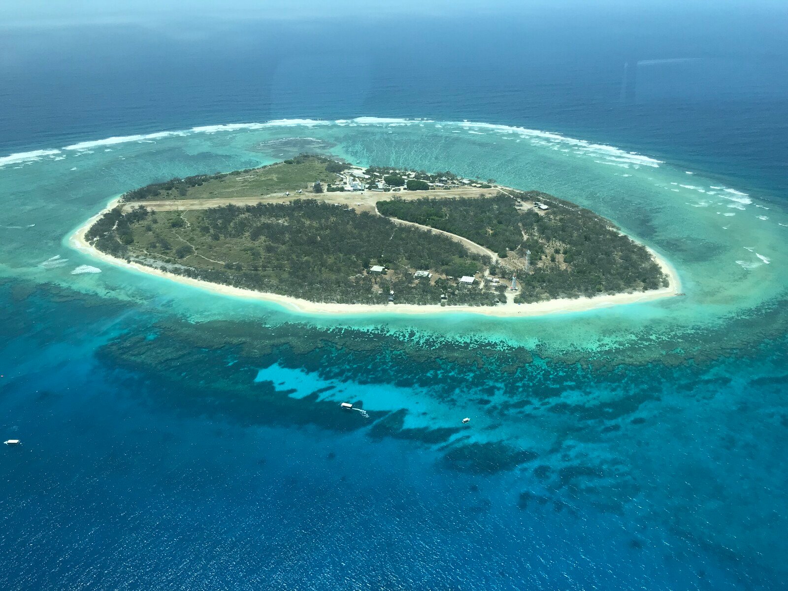 Man dies in shark attack at the Great Barrier Reef