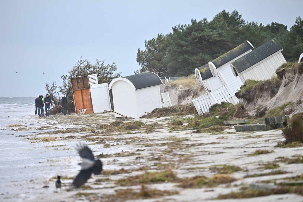 Natural methods save beaches