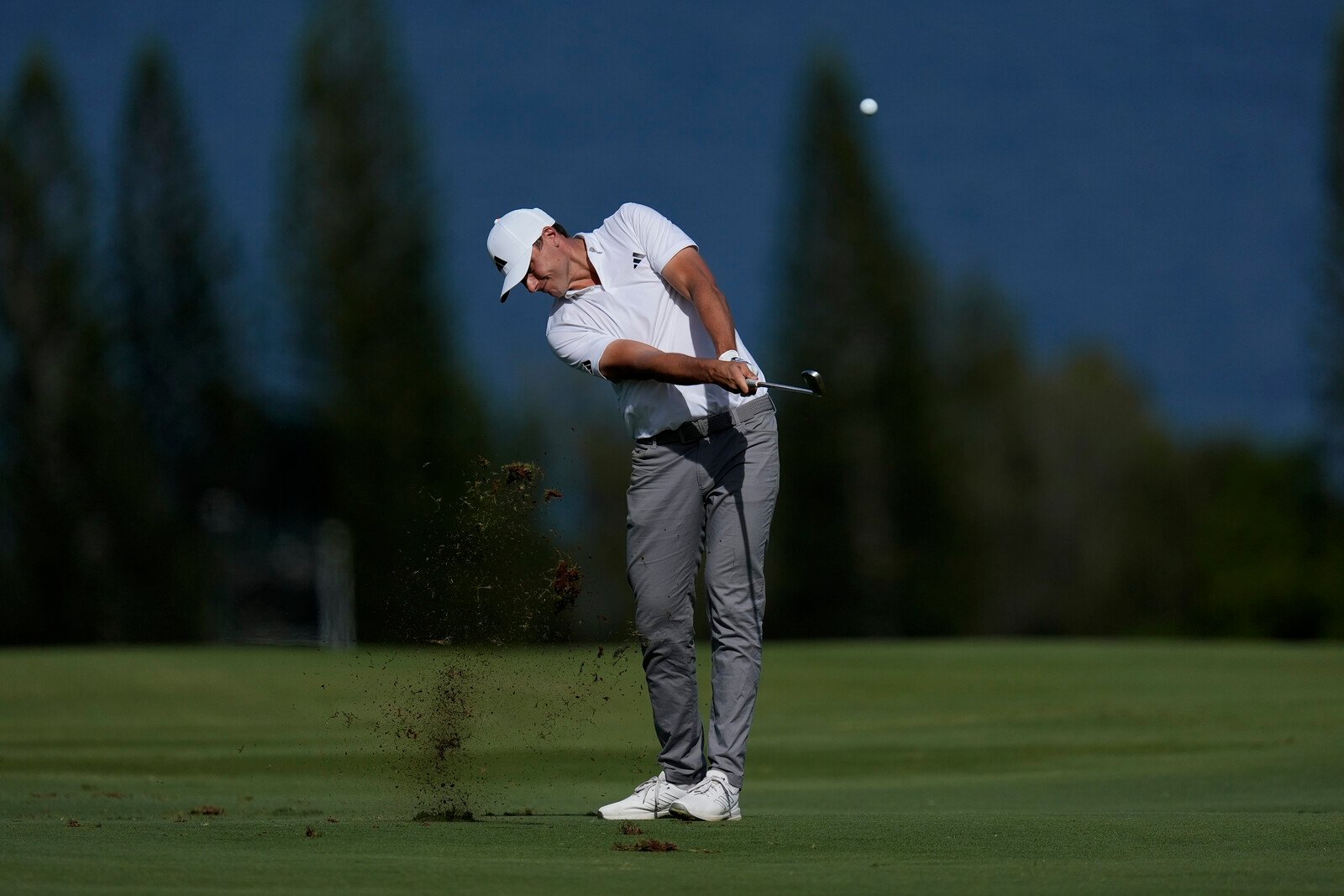 Åberg's strong finish – tied fifth in PGA premiere